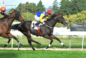 Better Than Ever - Manawatu Cup